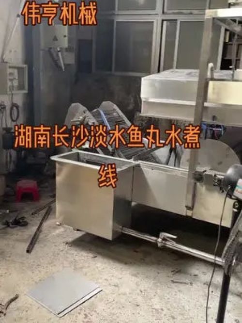 偉亨食品機(jī)械 專(zhuān)業(yè)丸類(lèi)設(shè)備制造商 食品機(jī)械設(shè)備 各種肉類(lèi)加工設(shè)備齊全 肉類(lèi)加工設(shè)備